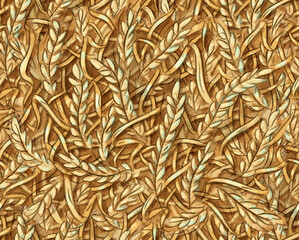 Seamless pattern with ears of wheat, rye, oats