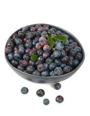fresh blueberries in a black bowl