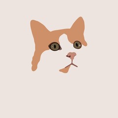 cute cat portrait illustration