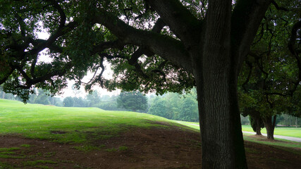 Obraz premium Club de Golf Sant Cugat del Vallès, Barcelona