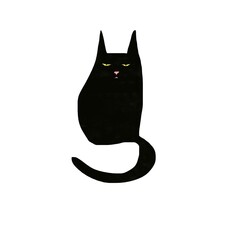 black cat on white