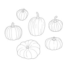 Pumpkin transparent set. Vector illustration isolated on white background. Healthy vegetarian food. Doodle style. Decoration for greeting cards, posters, patches, prints for clothes, emblems.