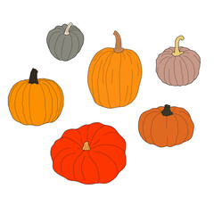 Pumpkin colorful set vector illustration isolated on white background. Healthy vegetarian food. Doodle style. Decoration for greeting cards, posters, patches, prints for clothes, emblems.