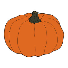 Pumpkin colorful vector illustration isolated on white background. Healthy vegetarian food. Doodle style. Decoration for greeting cards, posters, patches, prints for clothes, emblems.