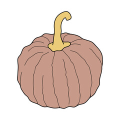 Pumpkin colorful vector illustration isolated on white background. Healthy vegetarian food. Doodle style. Decoration for greeting cards, posters, patches, prints for clothes, emblems.