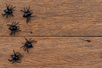 close up top view group black hunting spiders lay on corner of brown retro wood tabletop background for design in halloween decoration collection concept