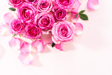 Pink roses