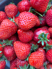 Red ripe strawberry berries, background