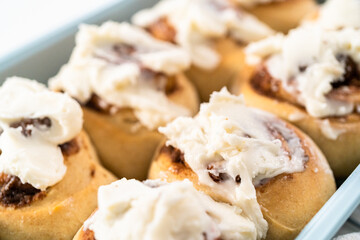 Cinnamon rolls