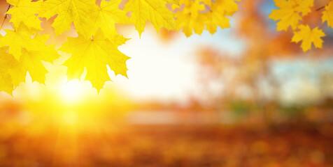  Fall blurred background.