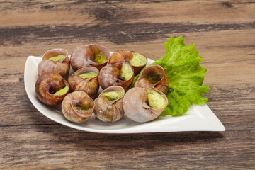 French cuisine - Escargot with sauce