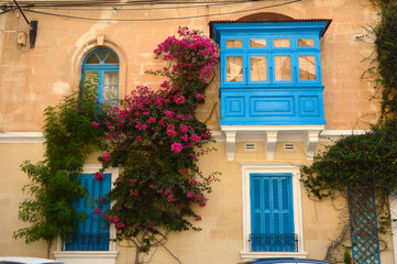 Fototapeta na wymiar typical beautiful blue wooden windows on the house in Malta, with blooming bougainvillea 