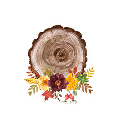 Fall floral decoration. Watercolor hand painted autumn flowers, wood slice and foliage illustration. Burgundy, red, yellow, purple flower bouquets. Thanksgiving day card.