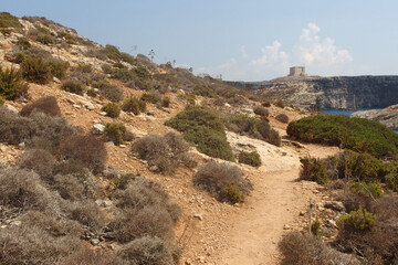 Fototapeta na wymiar Comino island rocky coast landscape with blue sea and dry surface, Malta