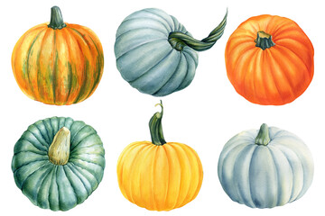Pumpkins on a white isolated background, autumn harvest, watercolor drawings. Happy Thanksgiving
