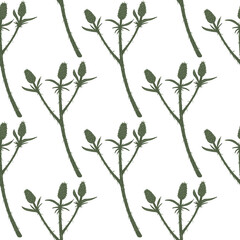 Spring seamless pattern with thorn twigs silhouettes. Green branches on white background. Botanic artwork.