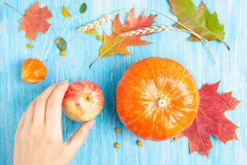 Woman puts a fresh ripe apple on a blue wooden background to a pumpkin, autumn leaves and ears of grain.