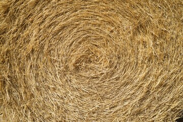 Straw bale view