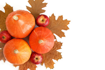 Jesienna kompozycja z dyń, liści i jabłek na białym tle