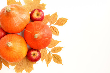 Autumn composition with pumpkins, colorful leaves and apples on a white background