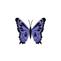 butterfly icon - Colorful Butterfly logo isolated, Beautiful Butterfly illustration