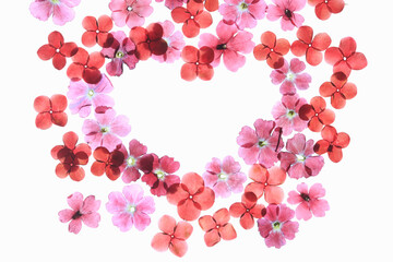 小花の押し花（ハートマーク）