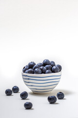 Close-up of fresh blueberries on a white and blue bowl on white background