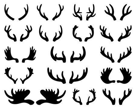 Silhouette of deer and elk antlers. Horns. Vector illustration on white isolated background