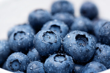 Blueberry fruit macro with dew drops background. 