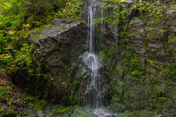 Fototapeta na wymiar fine delicate waterfall in a forest