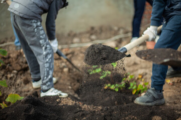 Shovel with earth. Planting plants. Gardener's job.