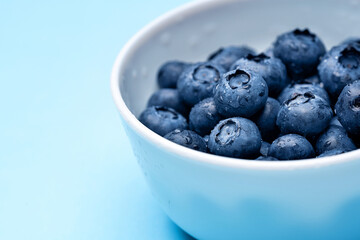 Blueberry fruit macro with dew drops background. 