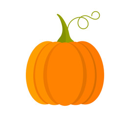 Pumpkin fruit fall symbol. Vector illustration.