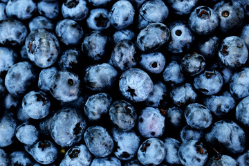 Pile of fresh blueberries on a fruit market - close up , background