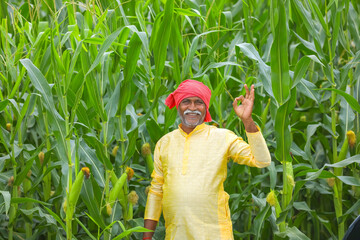 Indian farmer at corn field