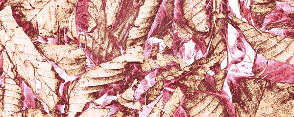 Beige Rose Decoration. Pink Plant Print. Pastel