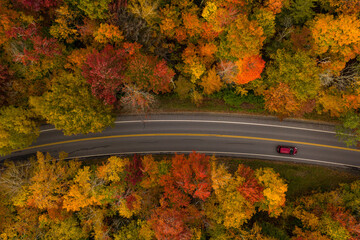 Fall Foliage Birds Eye Perspective