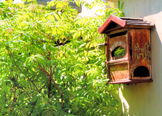  wooden letterbox for letters and newspapers, countryside   