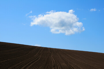 Fototapeta na wymiar 畑と白い雲