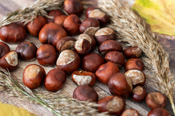 
Chestnuts on the table in different dishes. And there are leaves nearby.
