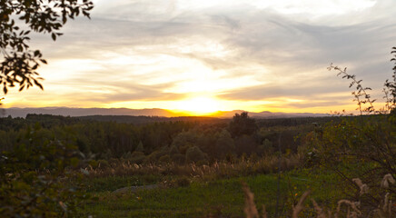 Sunset on nature. The sky is glowing with colorful hues. Silhouettes of trees and shrubs in the foreground.