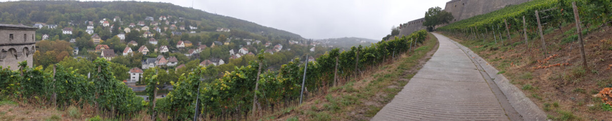 Fototapeta na wymiar Weinberg in Würzburg - Panorama