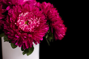 Bouquet of magenta asters