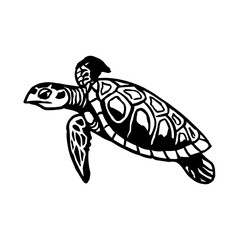 Fototapeta premium Turtle sketch style. Sea animal vector vintage illustration