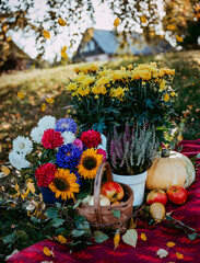 Autumn color. Decorations. Seasonal.