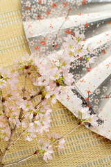 桜と扇