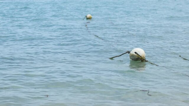 White fishing buoys on the water, Thailand