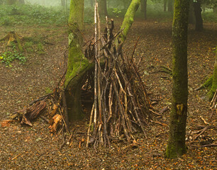 wooden Bivouac shelter in the woods