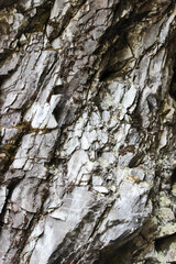 Closeup on rock wall texture