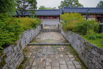 Obraz premium korean palace 4 (changdeokgung)